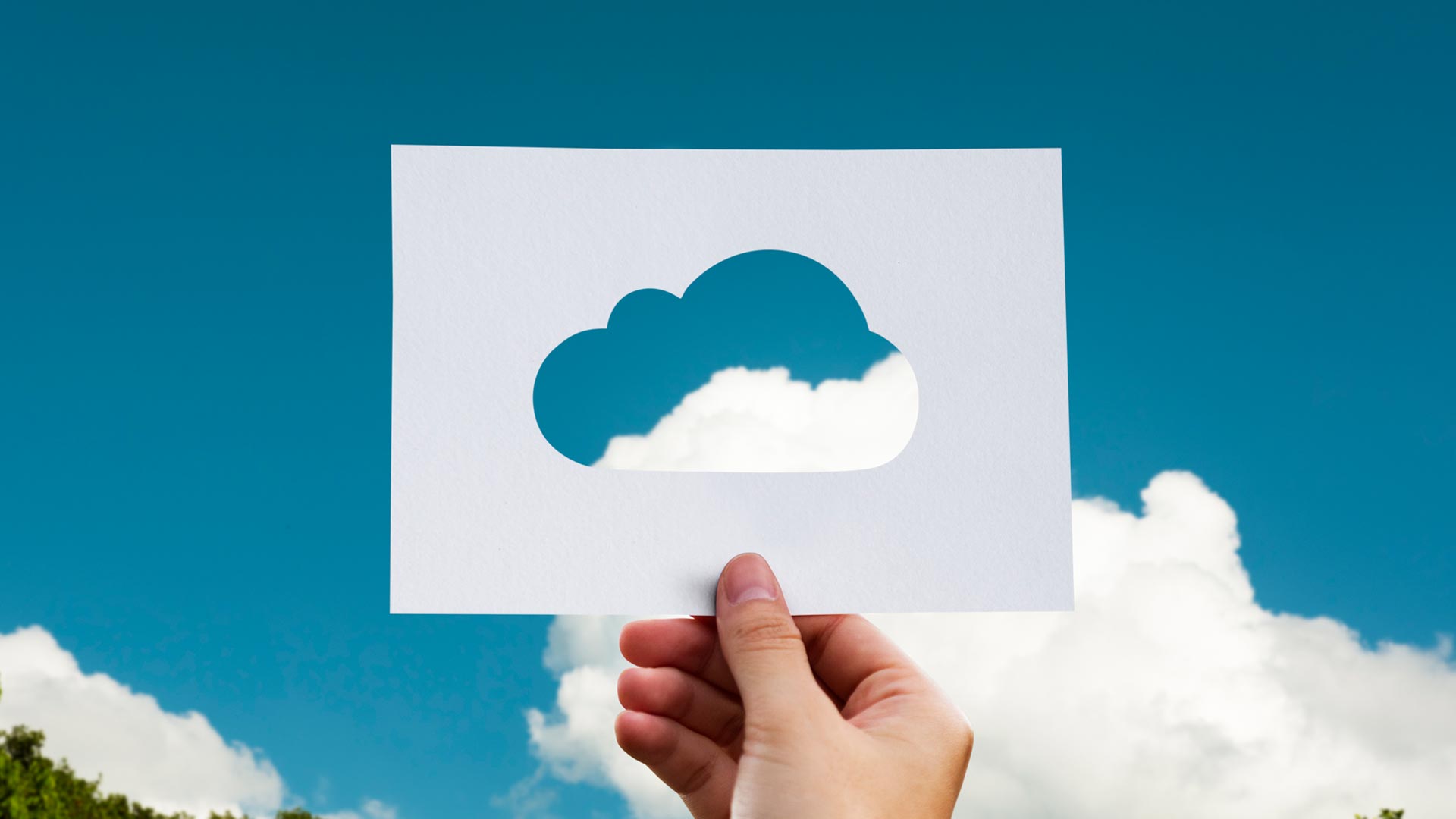 WALIS 2013: To Cloud or not to Cloud? That is the question